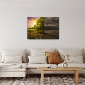 Obraz - Kolobeh života (70x50 cm)