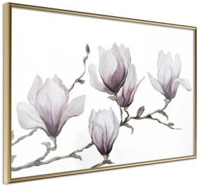 Artgeist Plagát - Painted Magnolias [Poster] Veľkosť: 90x60, Verzia: Čierny rám