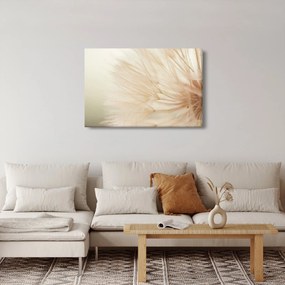 Obraz - Detaily kvetu (90x60 cm)