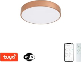 BRILAGI-LED Stmievateľné svietidlo POOL SMART LED/48W/230V 40 cm Wi-Fi Tuya bronz + DO