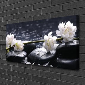 Obraz na plátne Kvet kamene 120x60 cm