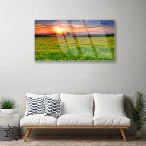 Skleneny obraz Lúka slnko príroda 120x60 cm