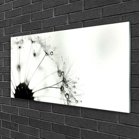 Obraz na skle Púpava rastlina 125x50 cm