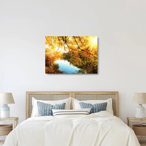 Sklenený obraz - Jesenný strom (70x50 cm)