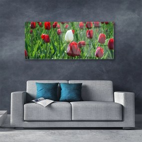 Obraz plexi Tulipány kvety príroda 125x50 cm