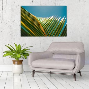 Obraz - Detail palmového listu (90x60 cm)