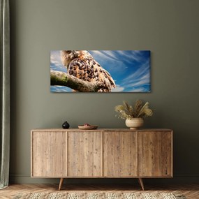 Obraz - Sova (120x50 cm)