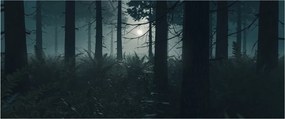 Obraz - Paprade v mesačnom svite (120x50 cm)
