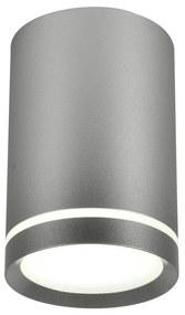 Stropné svietidlo TUBA GU10/15W/230V