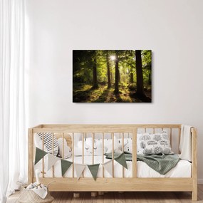 Obraz snového lesa (90x60 cm)