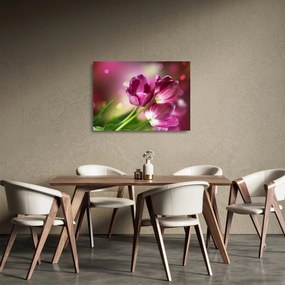 Sklenený obraz ružových tulipánov (70x50 cm)