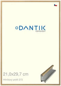 DANTIK rám na obraz 21x29,7 | ALU Dýha dub (Sklo Čiré)