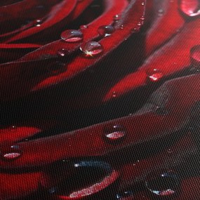Obraz - Detail ruže (90x60 cm)
