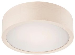 LED stropné svietidlo 1xLED/12W/230V