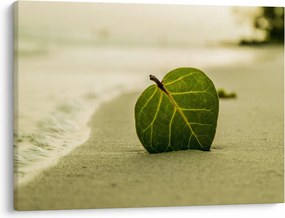Obraz listu v piesku (70x50 cm)