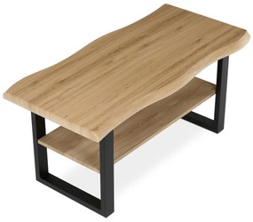 Autronic - Stůl konferenční, 120x60x55 cm, MDF deska, dekor divoký dub, kov, police, černý lak - CT-F4212 OAK AKCE