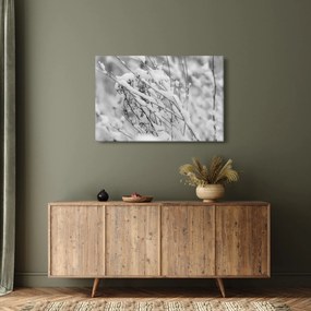 Obraz - Zasnežené vetvy (90x60 cm)