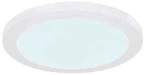 Globo 12379-24W - LED Stropné svietidlo LASSE LED/24W/230V