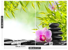 Fototapeta Vliesová Bambus a orchidea 104x70 cm