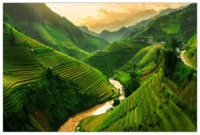 Obraz - Ryžové terasy Mu Cang Chai (90x60 cm)