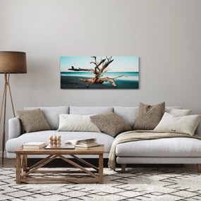 Obraz - Vyplavenie na pláži (120x50 cm)
