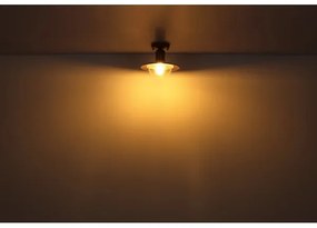 Globo 3274DW - Stropné svietidlo LINDA 1xE27/15W/230V