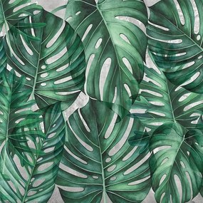 VLADILA  Green Philodendron - tapeta
