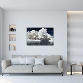 Obraz - Snehobiele stromy (90x60 cm)