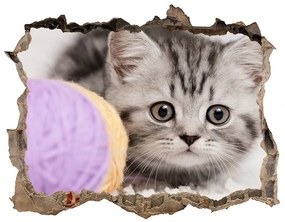Díra 3D fototapeta nálepka Mačka s motko nd-k-58337219