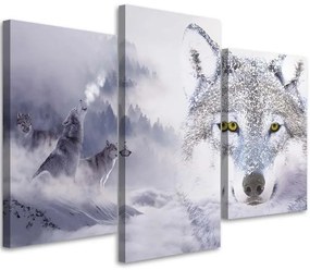 Obraz na plátně třídílný Šedý vlk Cloud Forest Mountain - 60x40 cm