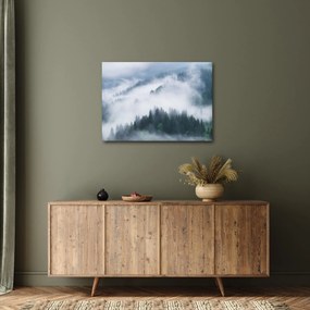 Obraz - Stromy v hmle (70x50 cm)
