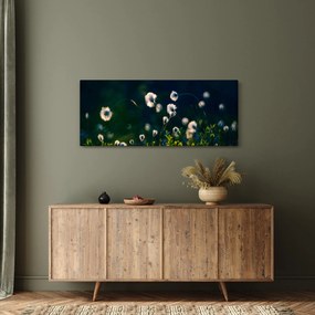Obraz - Tráva (120x50 cm)