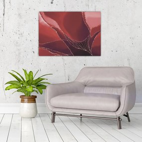 Sklenený obraz - Červená abstraktná kvetina N⁰2 (70x50 cm)