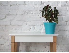 Biely konzolový stolík Ragaba Mimo, šírka 65 cm