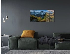 Sklenený obraz jazierka salašnícky 120x60 cm