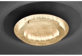 Paul Neuhaus 9621-12 - LED Stropné svietidlo NEVIS LED/24W/230V