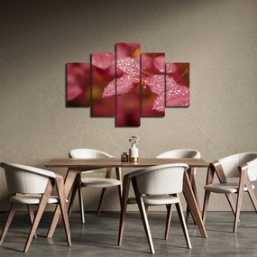 Obraz - Makro snímka lístka (150x105 cm)