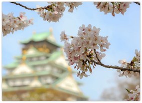 Sklenený obraz - Sakura (70x50 cm)