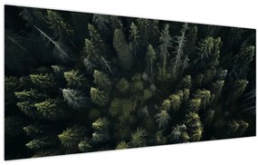 Obraz - Les (120x50 cm)