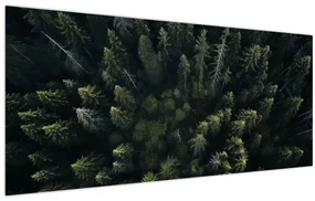 Obraz - Les (120x50 cm)