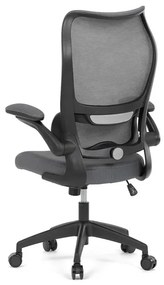 Kancelárska stolička ERGO Mesh Pro/sivá