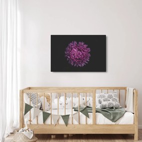 Obraz fialovej kvetiny (90x60 cm)
