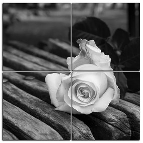 Obraz na plátne - Biela ruža na lavici - štvorec 3224QE (100x100 cm)