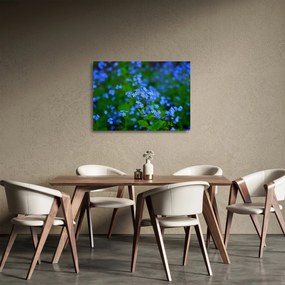 Sklenený obraz modrých kvetín (70x50 cm)