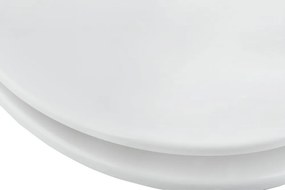 AWD WC sedátko Soft Close AWD02181696