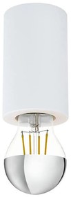 Eglo 99066 - Stropné svietidlo SALUZZO 1xE27/40W/230V