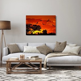 Obraz vtákov pri západe slnka (90x60 cm)