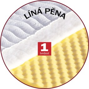 Drevočal Krycí matrac - Žofia Veľkosť: 200 x 100 x 5, Poťah: Medicott