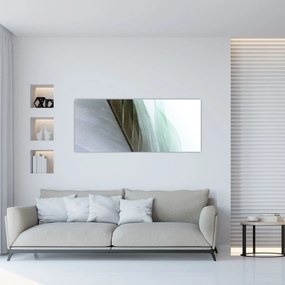 Obraz - Perie, makro (120x50 cm)