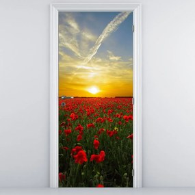 Fototapeta na dvere - Pole vlčích makov (95x205cm)